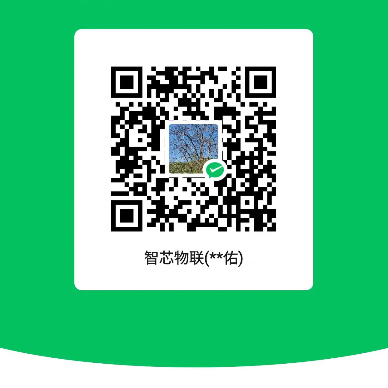 wechat pay